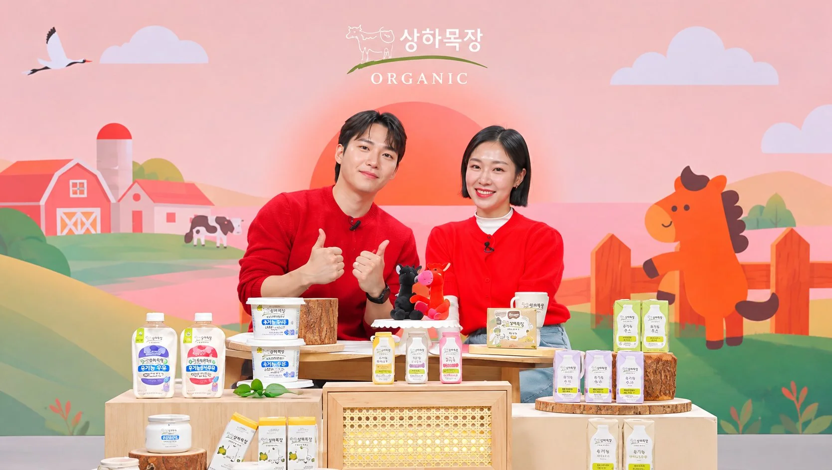 라이브커머스 전문 업체 고르는 실전 체크리스트